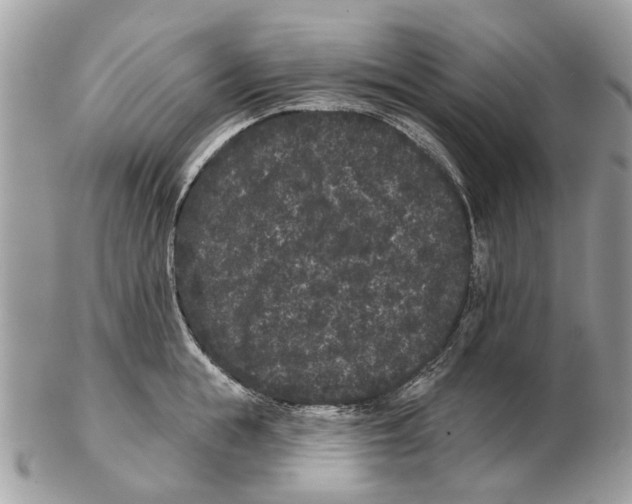 X0000102460855200809051308