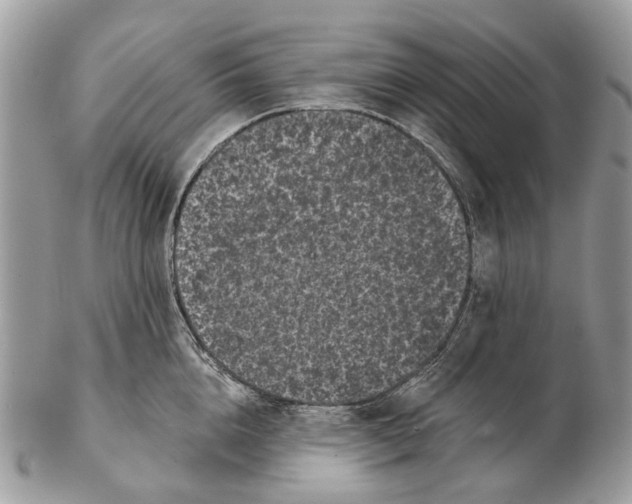 X0000102460856200809051308