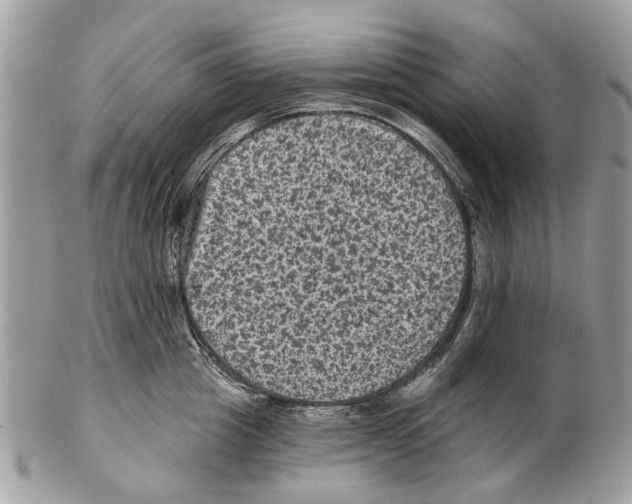 X0000102460857200809051308