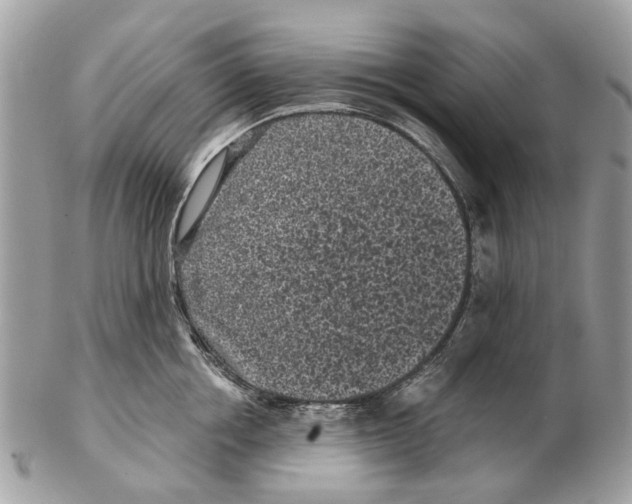 X0000102460858200809051308