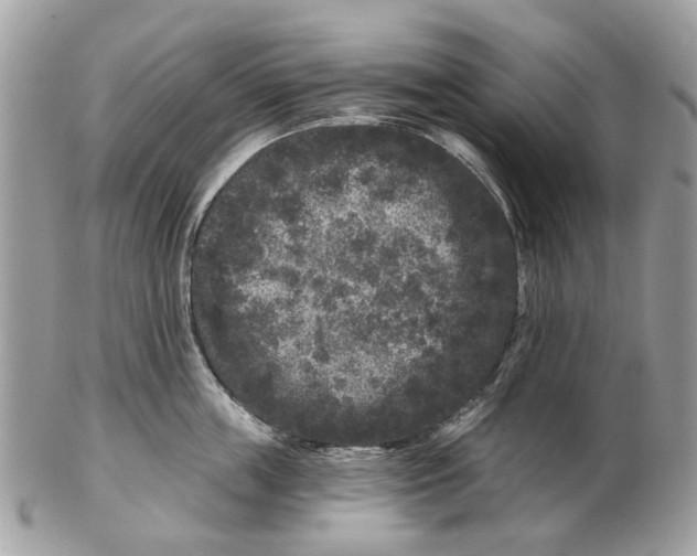 X0000102460859200809051308