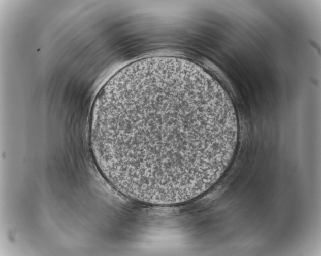 X0000102460860200809051308