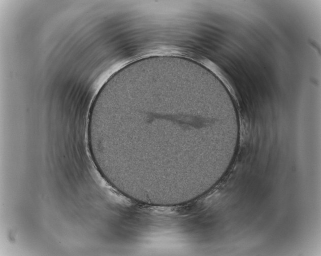 X0000102460861200809051308