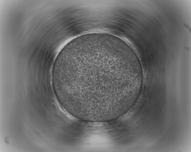 X0000102460862200809051308