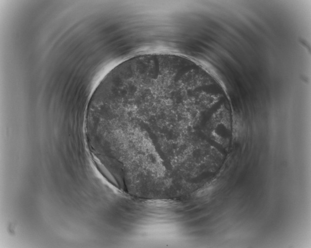 X0000102460863200809051308