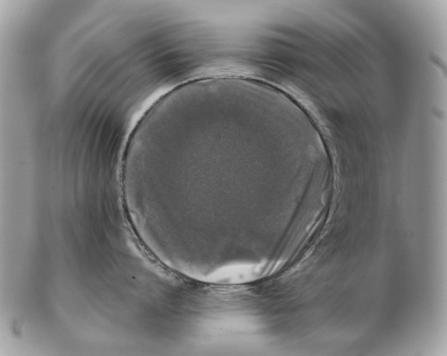 X0000102460864200809051308