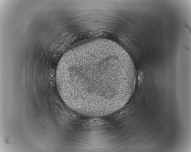 X0000102460867200809051307