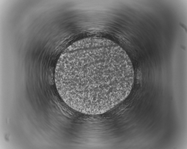 X0000102460868200809051307