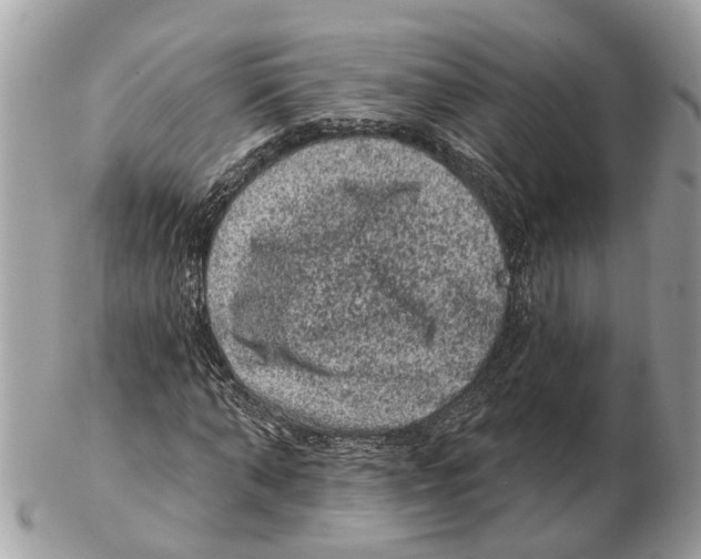 X0000102460870200809051307