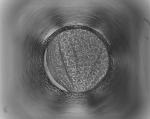 X0000102460871200809051307