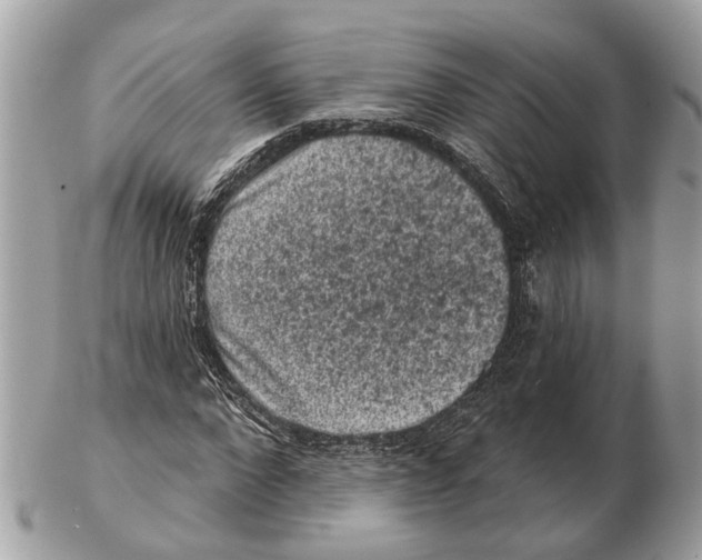 X0000102460872200809051307