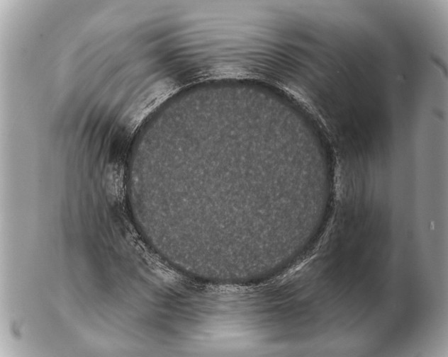 X0000102460873200809051307