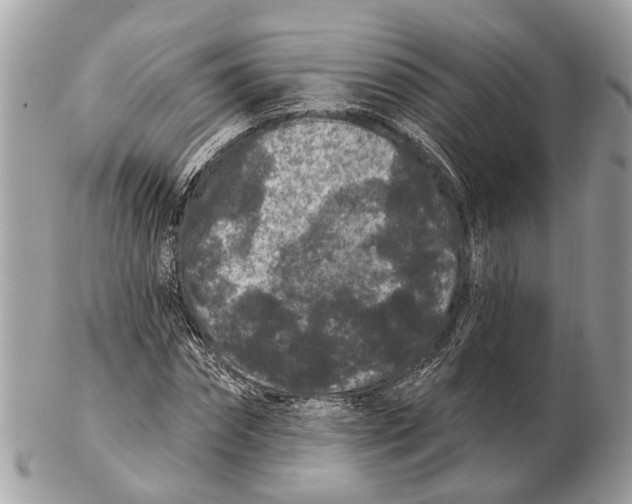 X0000102460874200809051307