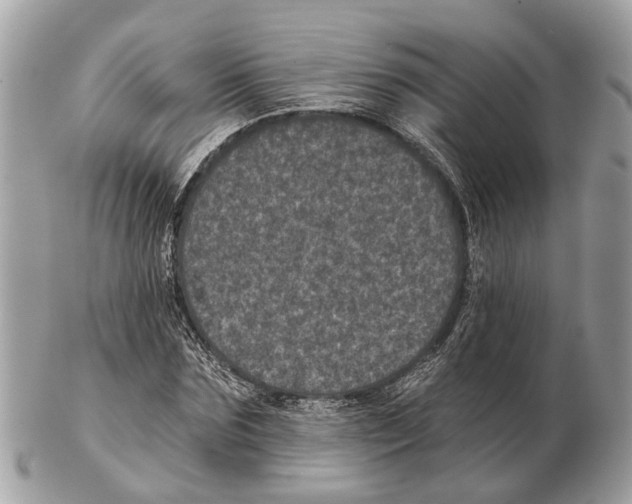 X0000102460875200809051307