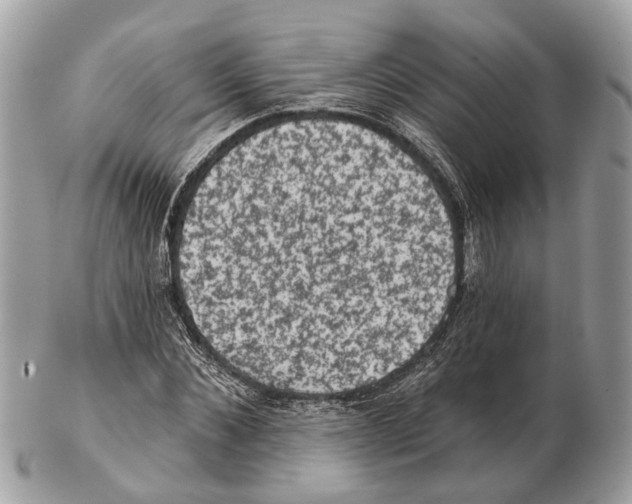 X0000102460876200809051307