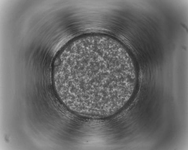 X0000102460877200809051307