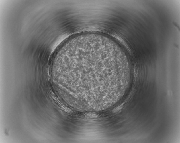 X0000102460878200809051307