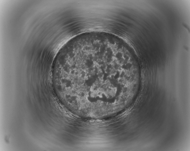 X0000102460879200809051307