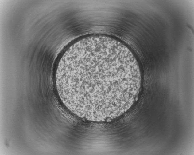 X0000102460880200809051307