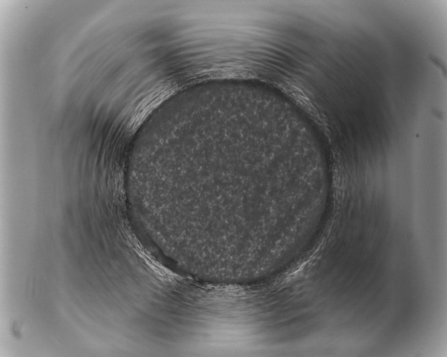 X0000102460881200809051307