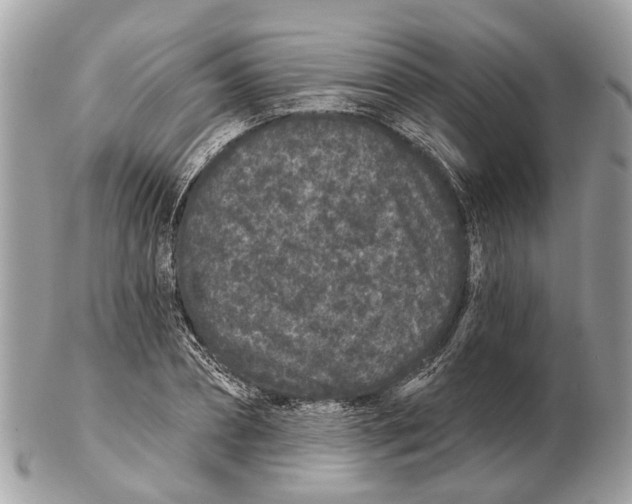 X0000102460882200809051307