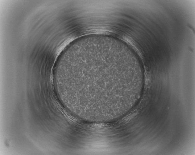 X0000102460883200809051307