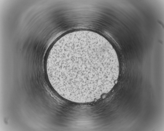 X0000102460884200809051307