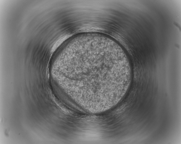 X0000102460885200809051307