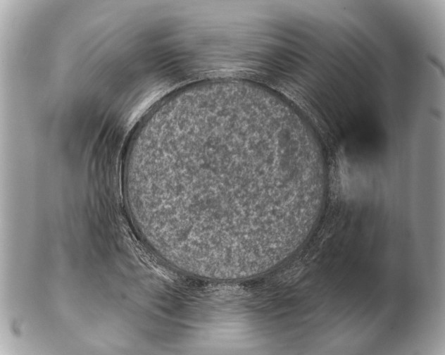 X0000102460886200809051307