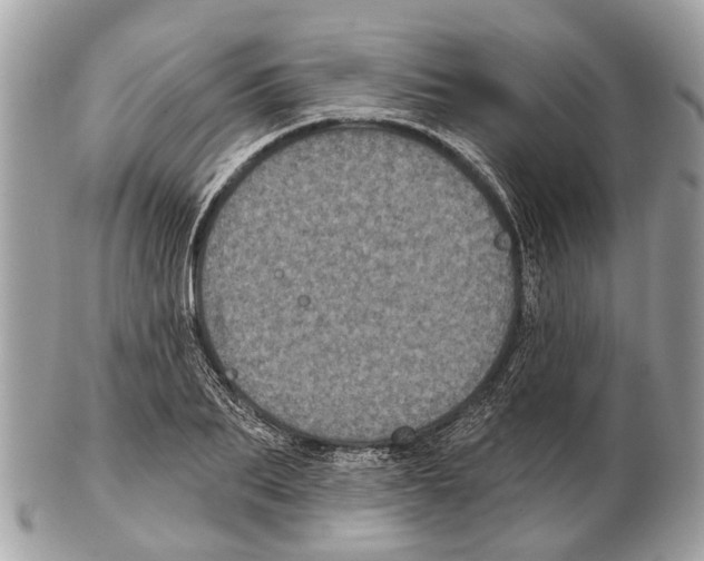 X0000102460887200809051307