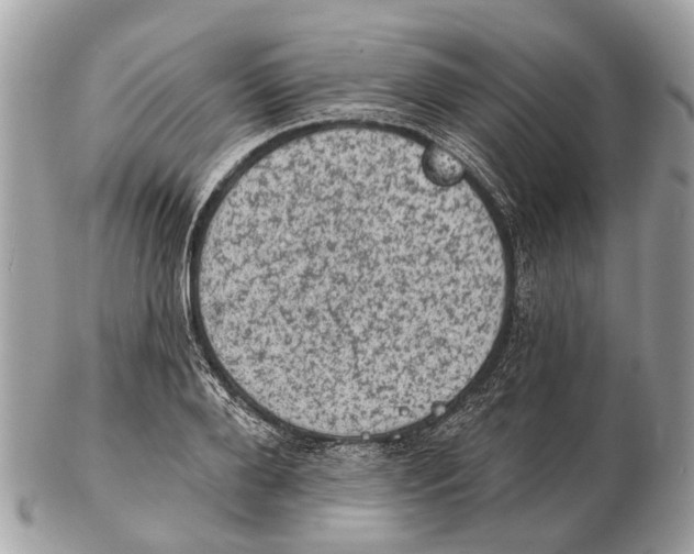 X0000102460888200809051307