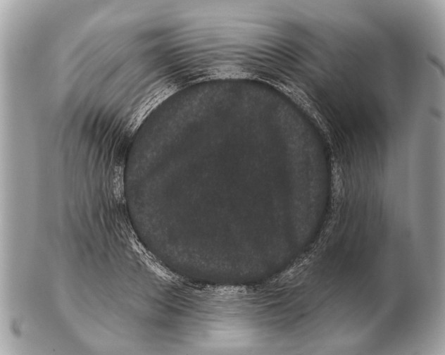 X0000102460889200809051307