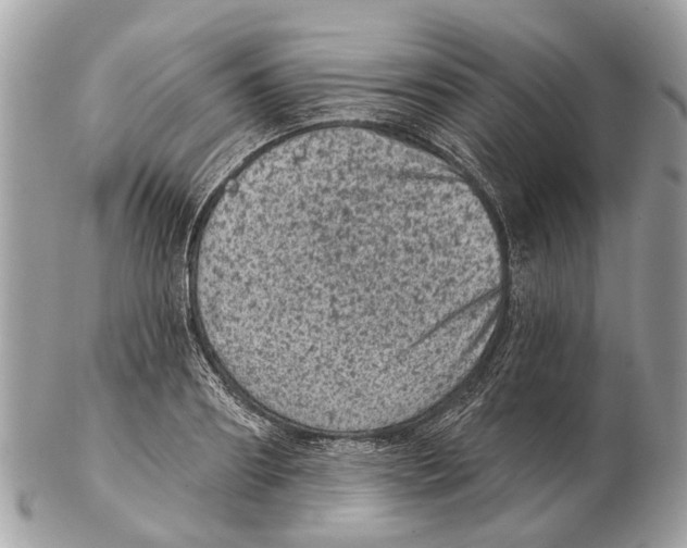 X0000102460890200809051307