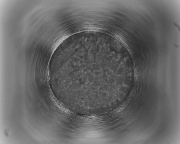 X0000102460891200809051307