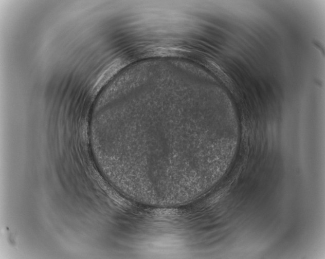 X0000102460893200809051307
