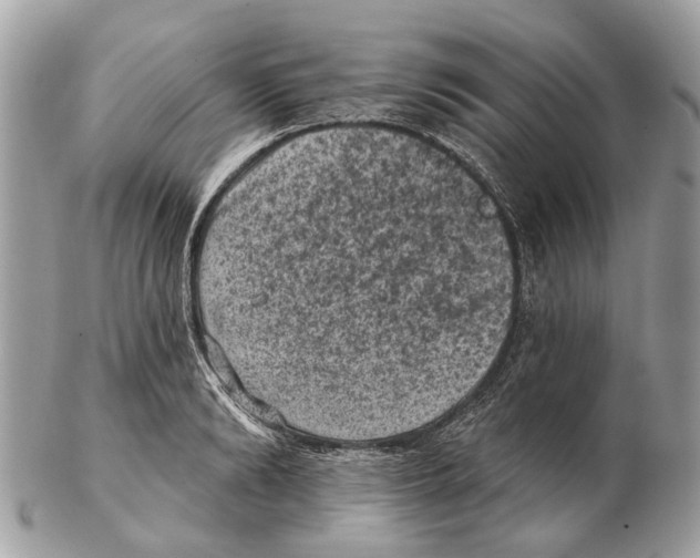 X0000102460894200809051307