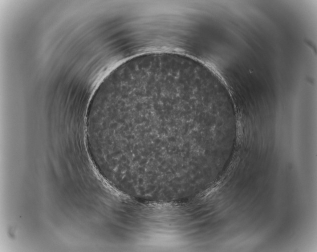 X0000102460895200809051307