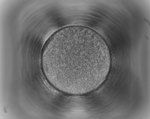 X0000102460896200809051307