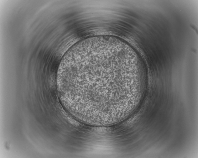 X0000102460897200809051307