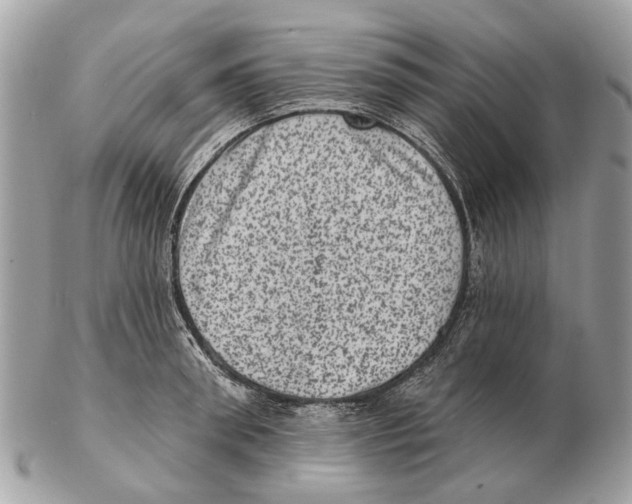 X0000102460898200809051307