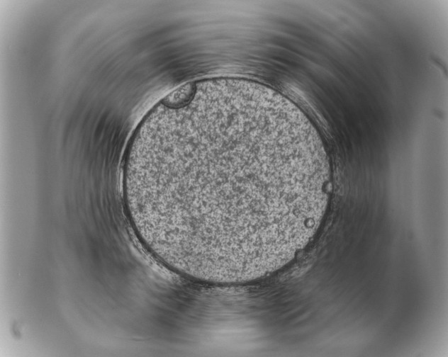 X0000102460900200809051307