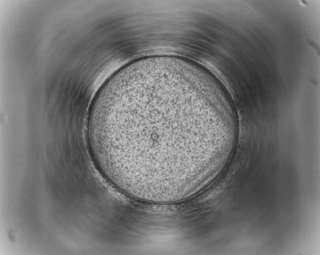 X0000102460901200809051307