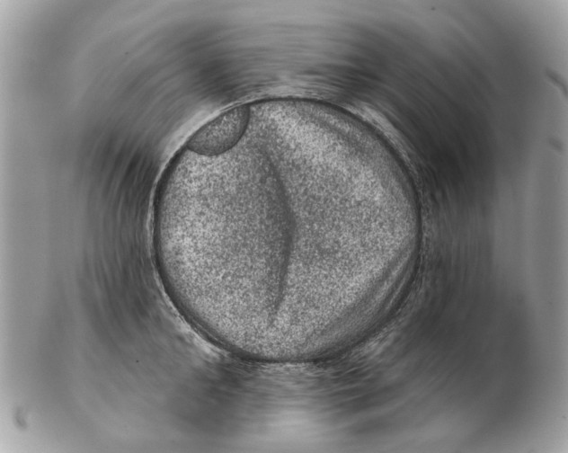 X0000102460902200809051307