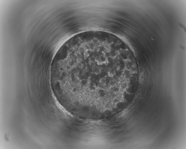 X0000102460903200809051307