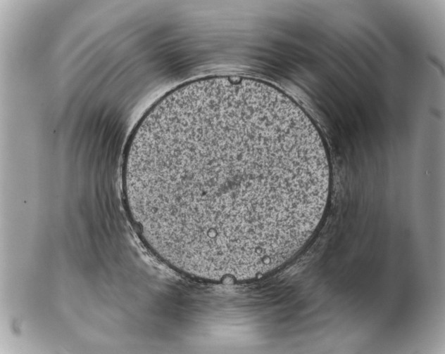 X0000102460904200809051307