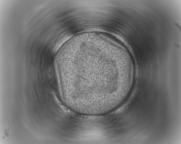 X0000102460905200809051307