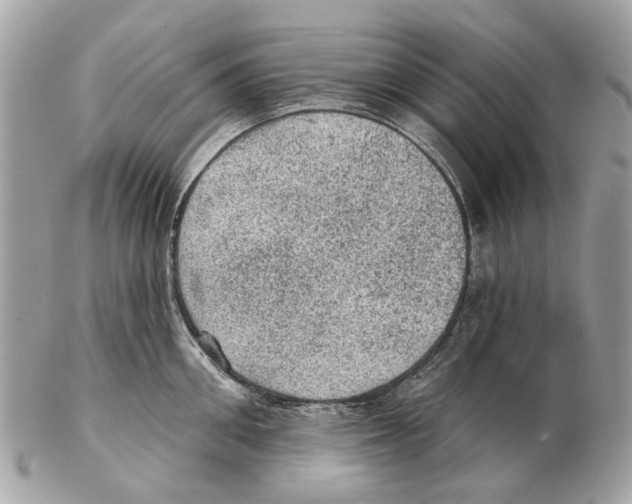 X0000102460906200809051307