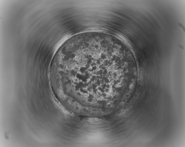 X0000102460907200809051307