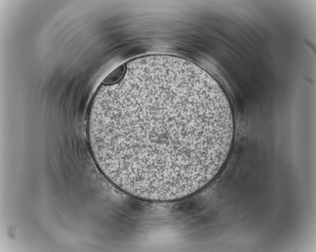 X0000102460908200809051307
