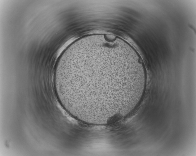 X0000102460909200809051307